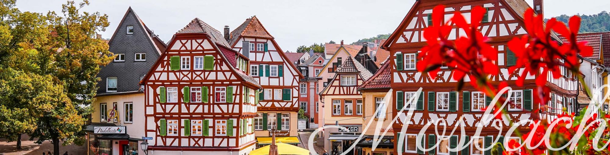 Blick auf den Marktplatz von Mosbach | Bild: Lena Martin