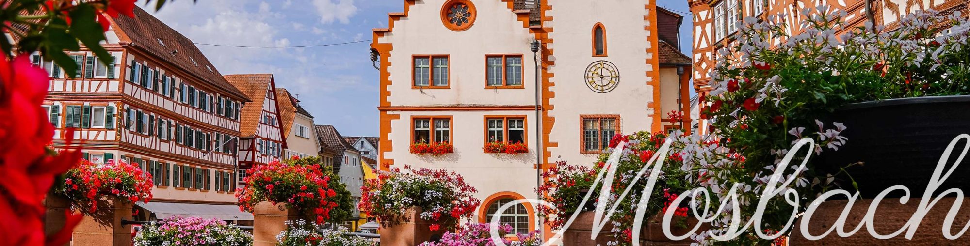 Das Mosbacher Rathaus | Bild: Lena Martin