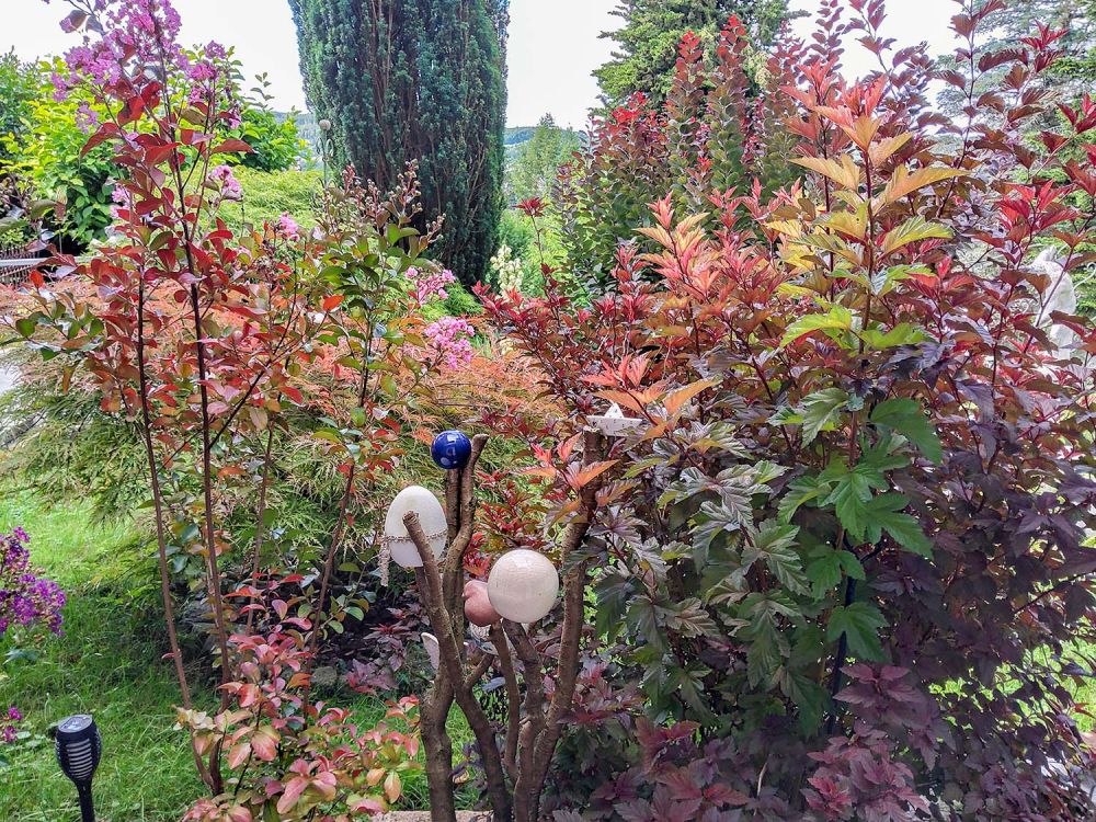 Der Garten der Ferienwohnung in Mosbach